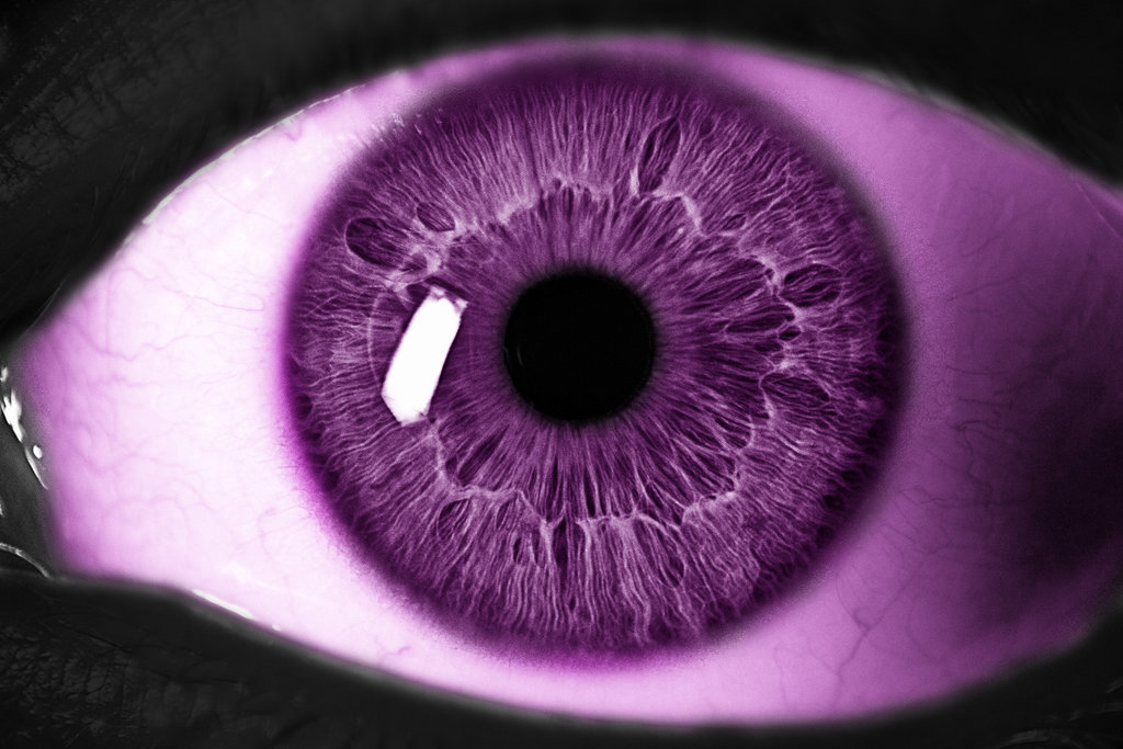 Zwei lila Augen Deutsches Creepypasta Wiki FANDOM powered by Wikia