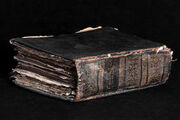 Libro de Cuero