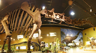 Dinosaur