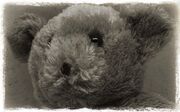 Bear-nsh