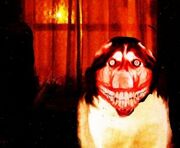 Smiledogsample