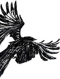 Crow