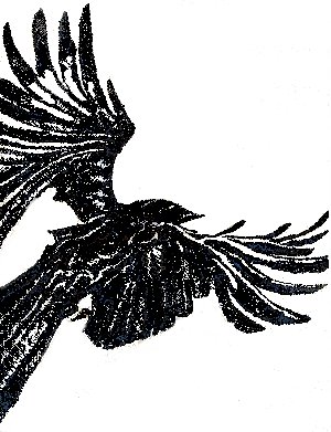 Crow