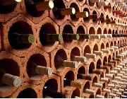 Terror-en-la-bodega-de-vinos