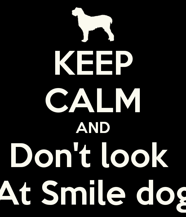 image keep calm and don t look at smile dog png creepypasta wiki