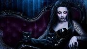 Kitty evil