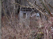 Shack