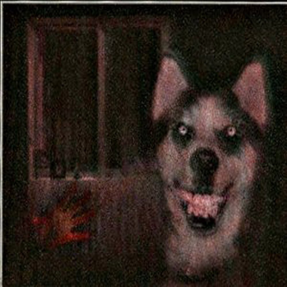 Smile Dog Wiki Creepypasta Fandom