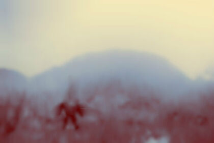 Mist