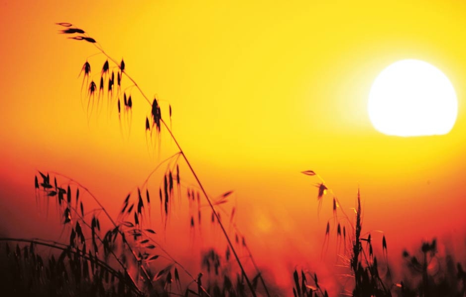 Resultado de imagen para calor