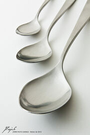 Spoon perspective