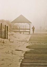 218px-Disappearance-steve-karol
