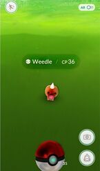 Pokemon-radar-catch