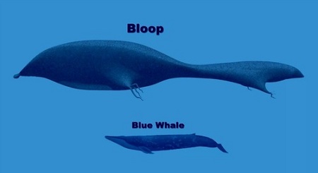 Risultati immagini per Il “Bloop”