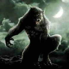 Le chat piu conosciute Le chat piu conosciute