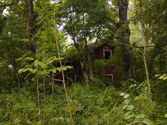Old house in the forest by Nr9 Demyx