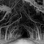 Creepyroad