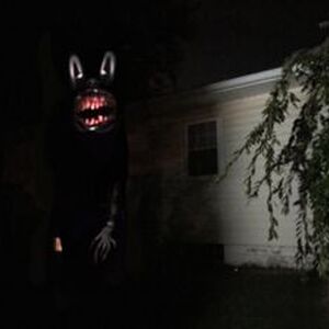 Cartoon Cat Creepypasta Wikia Fandom