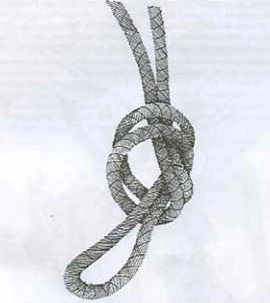 La Teoría de las Cuerdas Wiki CreepySpanish FANDOM powered by Wikia