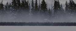 Guardia Volturi