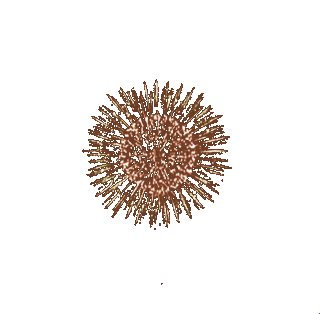 Fireworksmikprofile