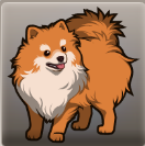 Molly's Dog