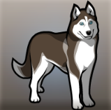 Husky