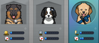 Primer Tienda de Mascotas