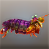 UnknownShrimp