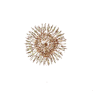 Fireworksmikprofile