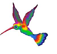 Animalibrí