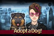 Adopt a Dog