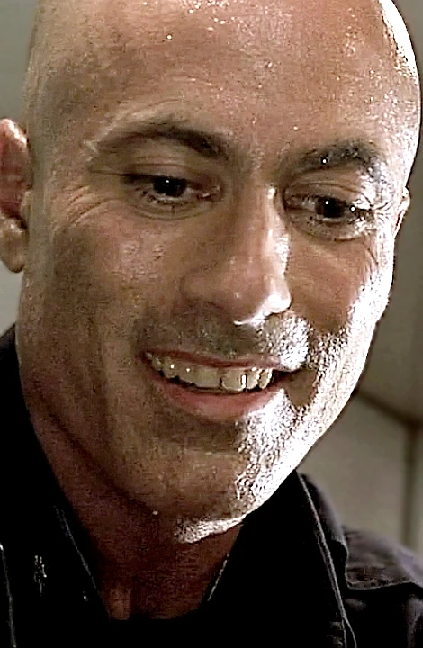 Criminal Minds Episode New York Terrorist