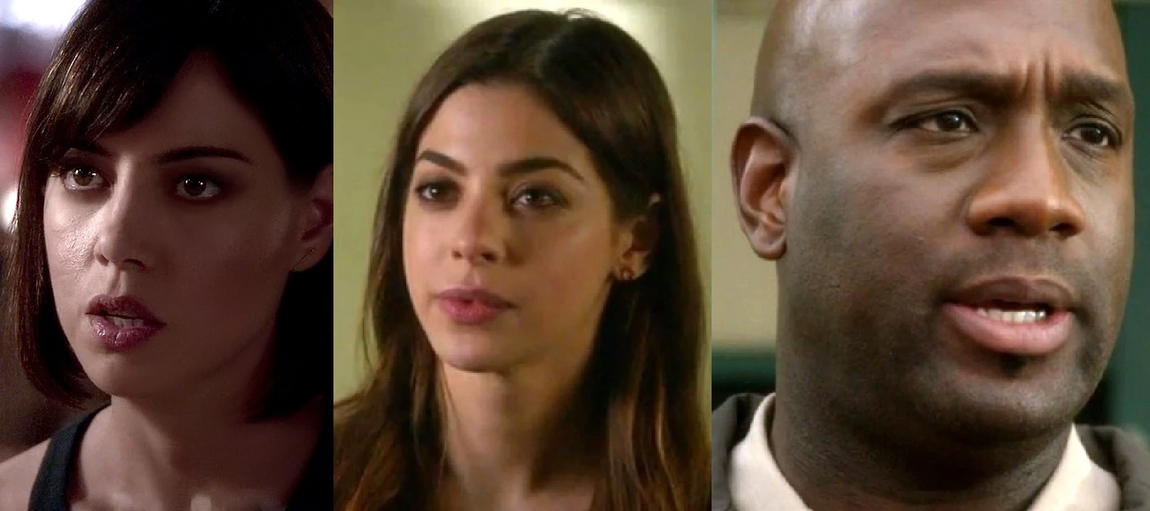 Cat's Gang Criminal Minds Wiki FANDOM powered by Wikia