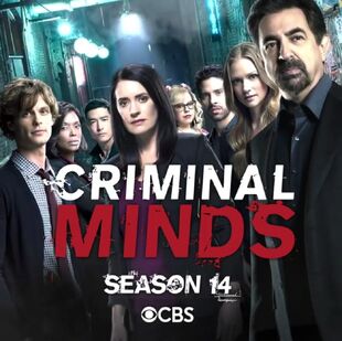 Criminal minds staffel 14