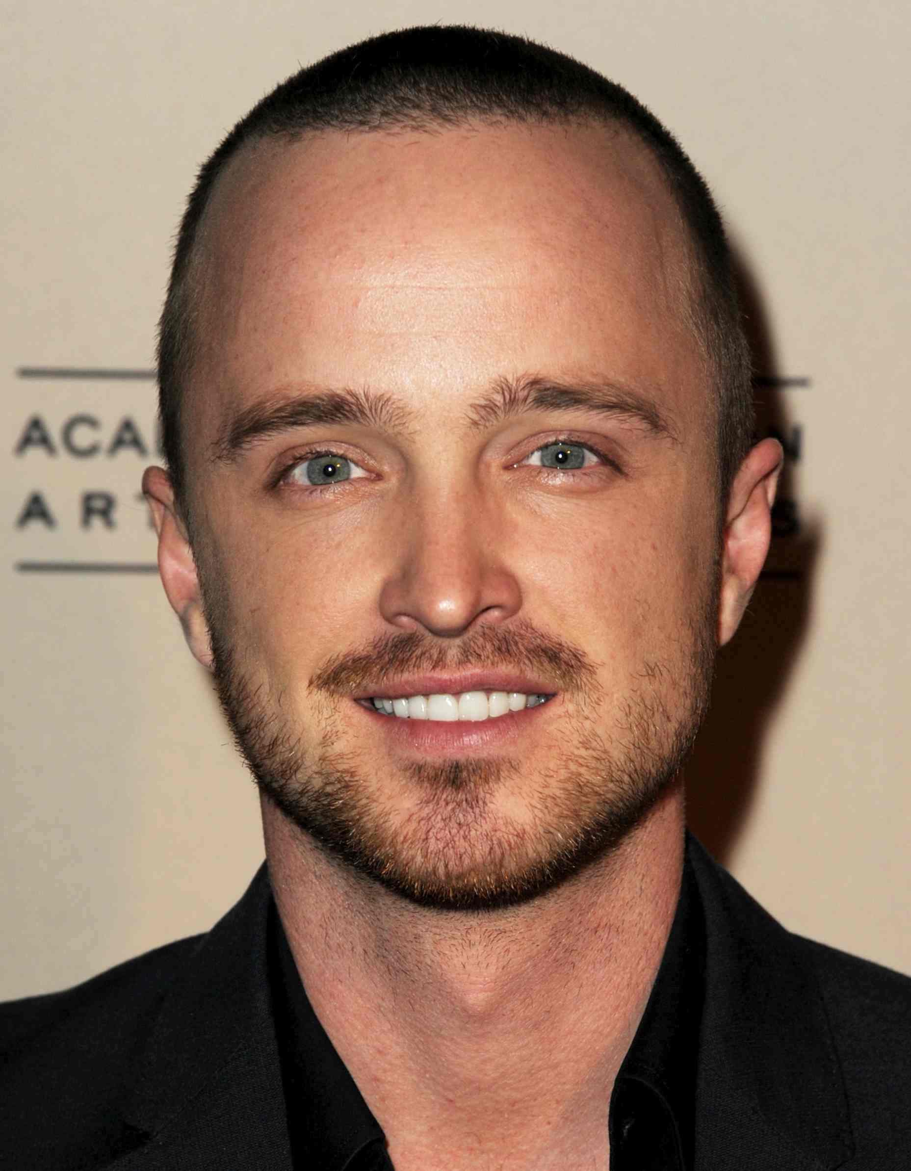 Aaron Paul hulu