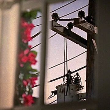 Plain Sight Criminal Minds Wiki Fandom