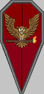 Righteous Brand Kite Shield