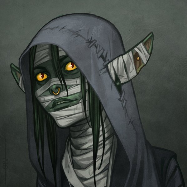 🎲 Critical Role - Nott The Brave Minecraft Skin