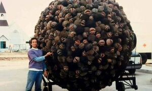 Critter ball