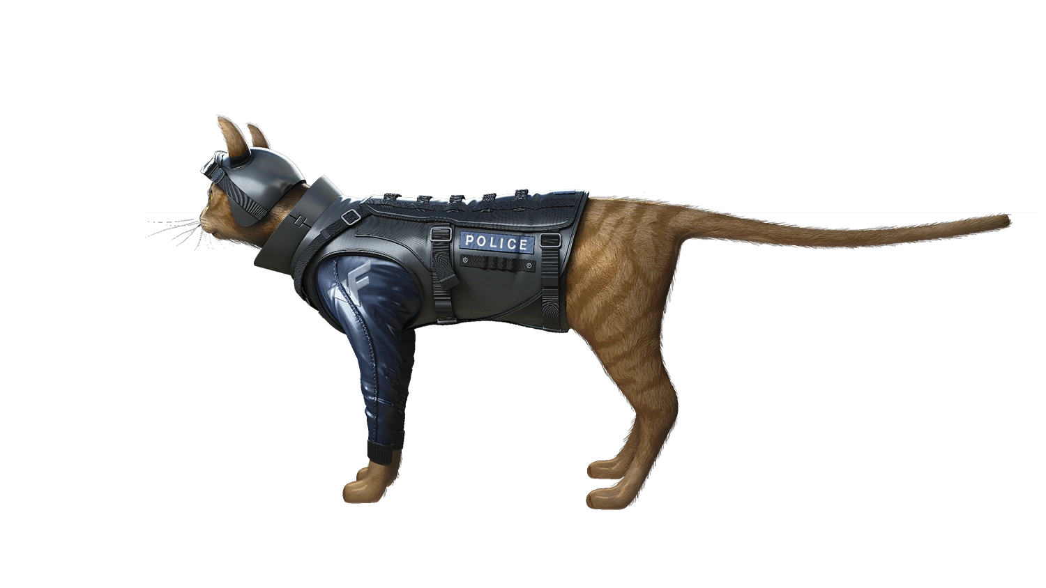 Cat RifleM4A1 Crossfire Wiki FANDOM powered by Wikia