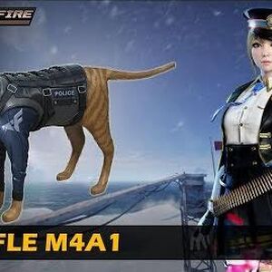Cat Rifle M4a1 Crossfire Wiki Fandom