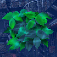 FastWeed