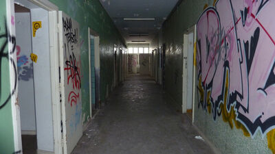 Asylum1