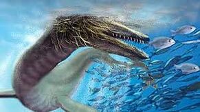 San c serpent