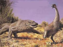 Megalania