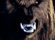Skinwalker