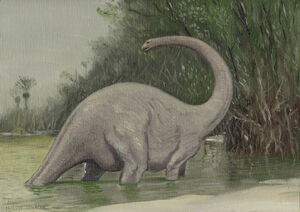 Mokele-mbembe, Philippe Coudray