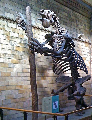 File:Megatherium at London.png