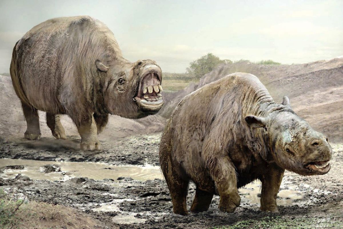 toxodon-the-animal-life-of-terrestrial-habitat